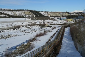 World's longest wooden salmon ladder