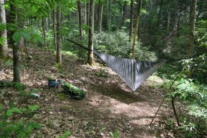 Campsite 51 with my hammock.