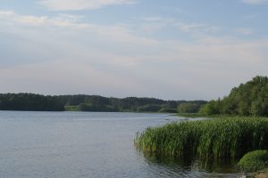 Lake formed by dam on the Little River.  Reed Bingham State Park. 