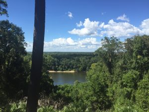 Apalachicola River from Gregory House