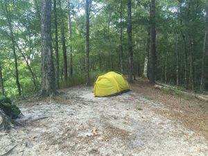 Campsite 1 on Rock Bluff