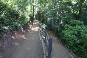 One of the switchbacks on the trail to the summit.