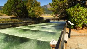 Salmon ladder at Bonneville Dam.