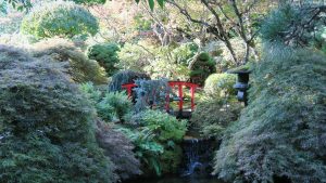 Japanese Garden at Butchart Gardens.