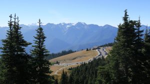 Hurricane Ridge, Olympic National Park. 