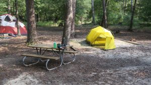 Campsite G at Lake Livingstone State Park. 