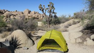 Campsite at Jumbo Rocks.  Note the Joshua Tree in the background. 