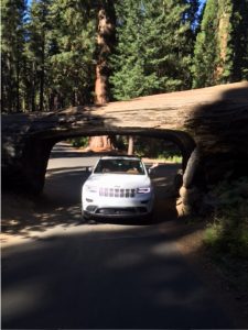 On the way to Moro Rock. 