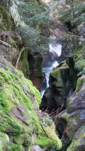 Avalanche Gorge.