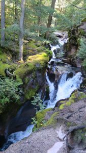 Avalanche Creek.