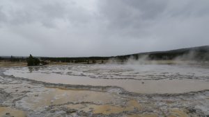 Great Fountain Geyser along Firehole Lake Road. 