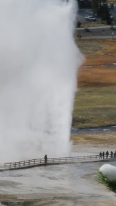 Beehive Geyser erupting as seen from Observation Point.