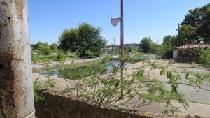 The Olympic size pool at the Baker Hotel which used to be filled with mineral water. 